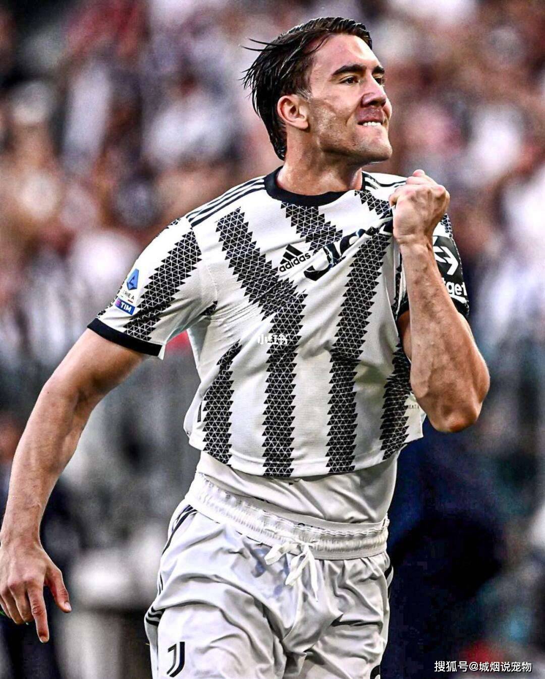 成了斑马军, 在本赛季的, 表示自己只