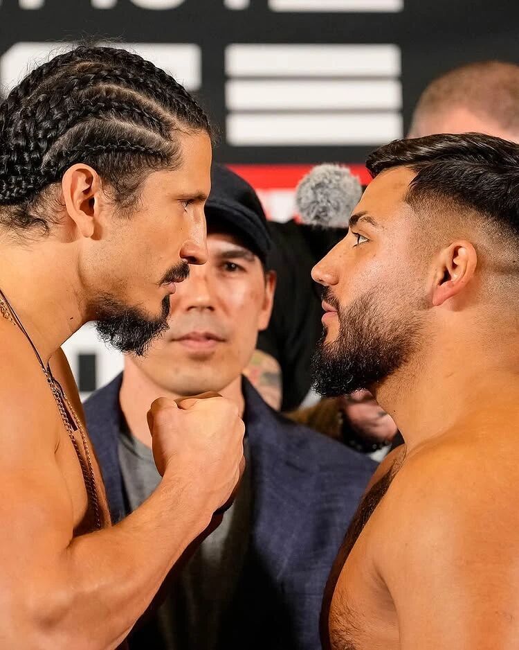 MtXNV, com, 对阵阿林 MtXNV, com, 对阵阿林